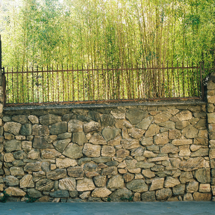 Made with a Fuji GF670 on Kodak Portra 400