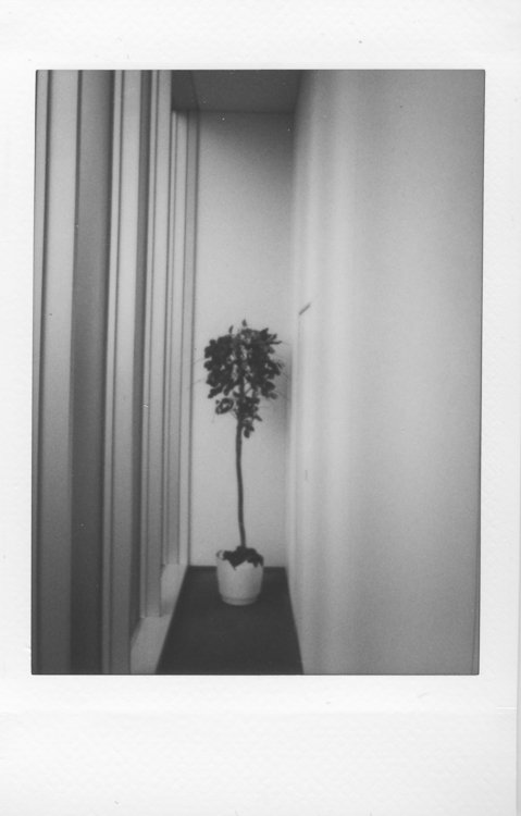 Akihabara, made with a Fuji Instax Mini 90S