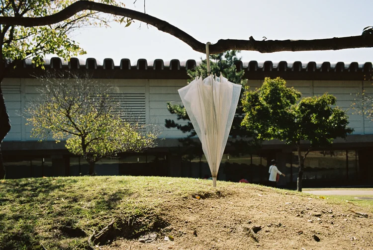 Umbrella, Nara