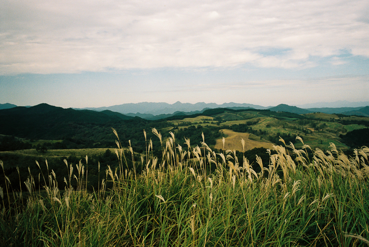 Grass, Aso