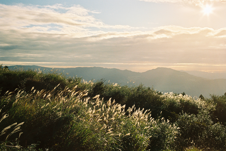 More grass, Aso