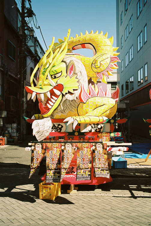 Dragon, waiting for a parade