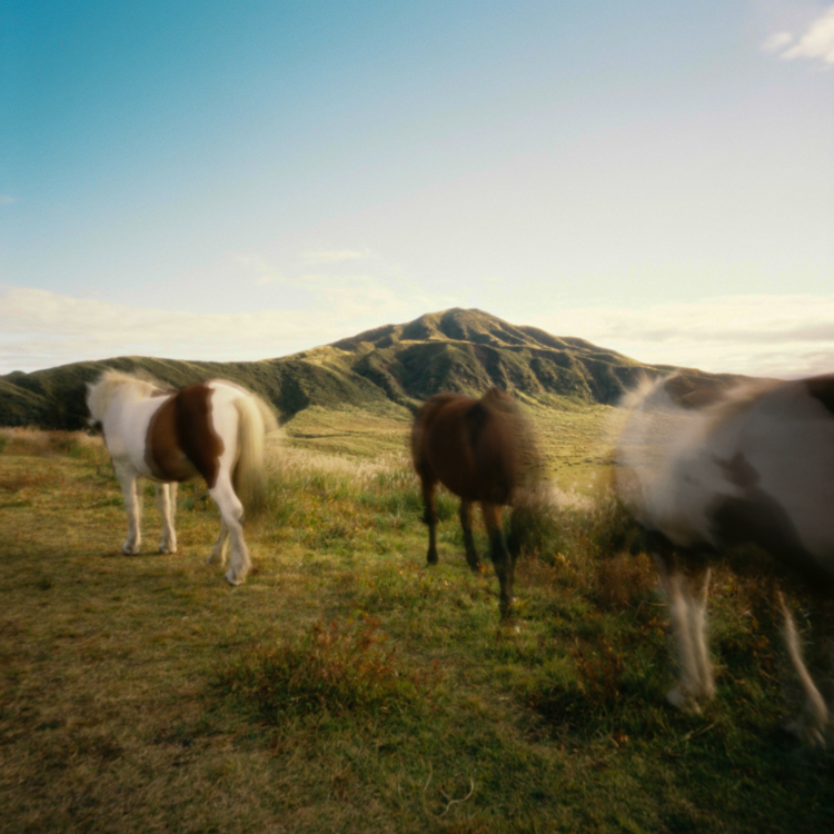 Horses, Kusasenri, Kumamoto prefecture