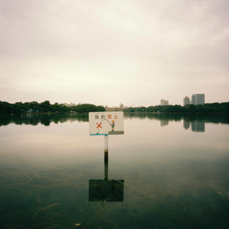 Ohori park, Fukuoka
