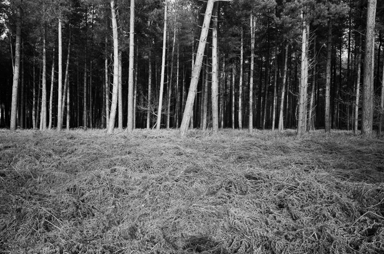 AY000326-Edit.jpg