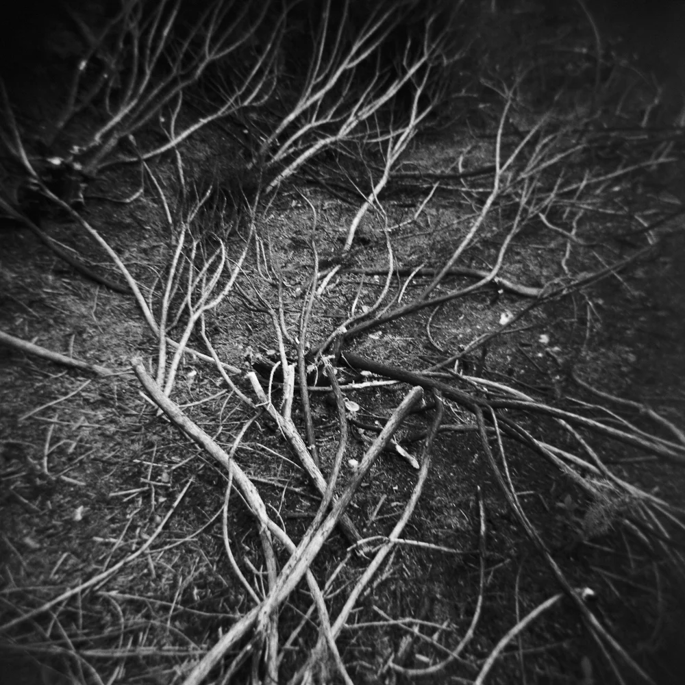 AY260918BW249114-20181010-05.jpg
