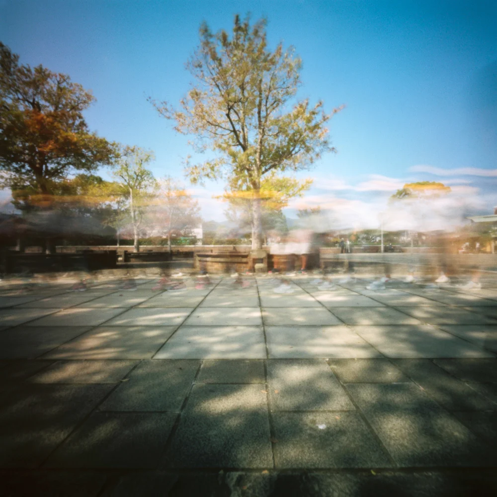 AY091118249573-20181120-04.jpg