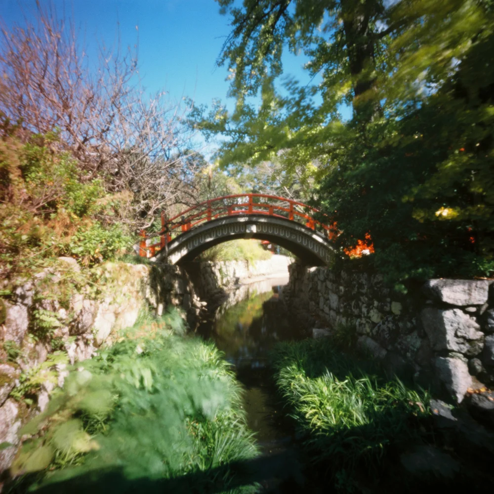 AY091118249567-20181120-03.jpg