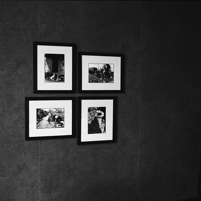 Netherlands
.
#hotelroomblues #blackandwhite #believeinfilm #filmsnotdead #filmwins #staybrokeshootfilm #shootfilm #squareformat #mediumformat #fujigf670 #canadianfilmlab #ilfordfilm #ilfordhp5 #pushed3200 #canadianfilmlab