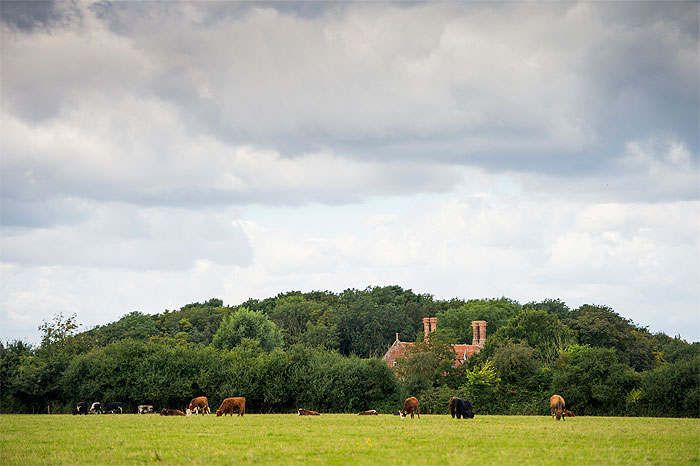 Hales_Hall_Wedding_Simon_Buck0001_sr.jpg