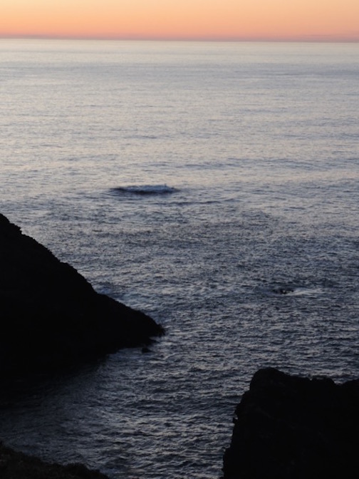 Albion, CA Jan 2015