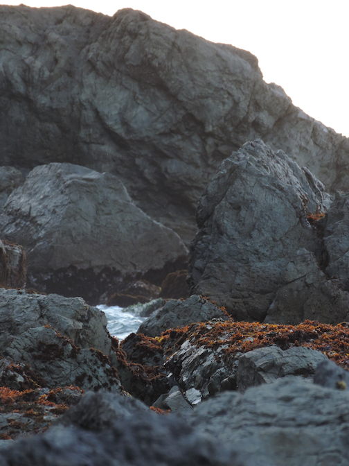 Mendocino, CA May 2015