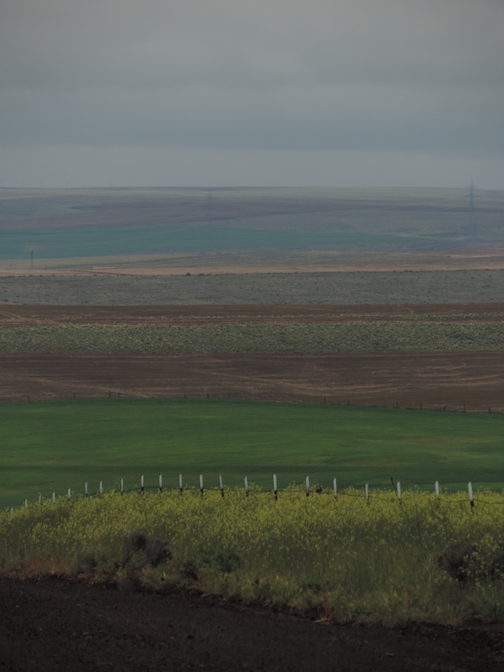 Columbia Plateau, Central Oregon May 2015