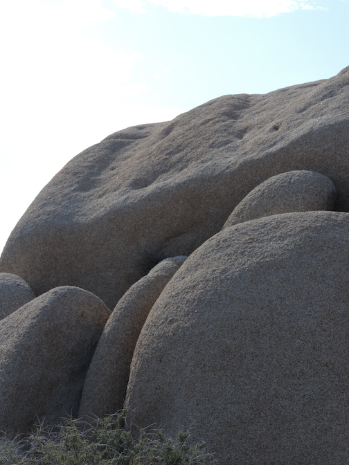 Joshua Tree NP, CA May 2015