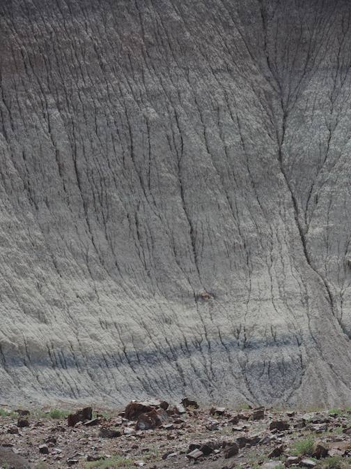 Petrified Forest NP, AZ May 2015