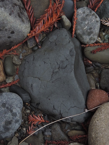 Mudstone Decomposing Into Clay - Redwood Natl. Forest.