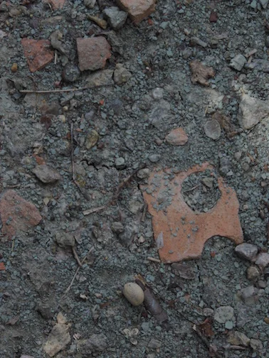 Discarded Bricks embeded in Decorah Shale Clay - found at the ruins of Twin Cities Brick Company, Saint Paul, MN.