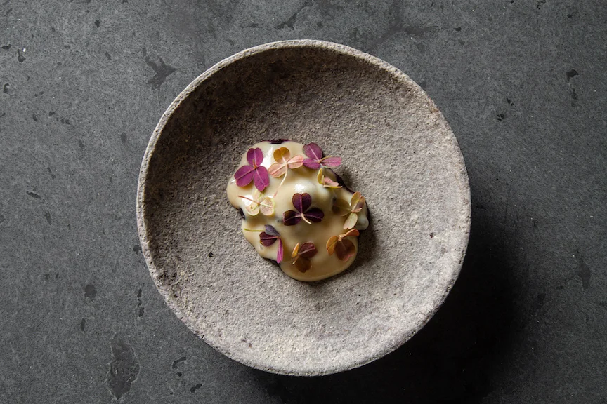  photo courtesy of Albena 