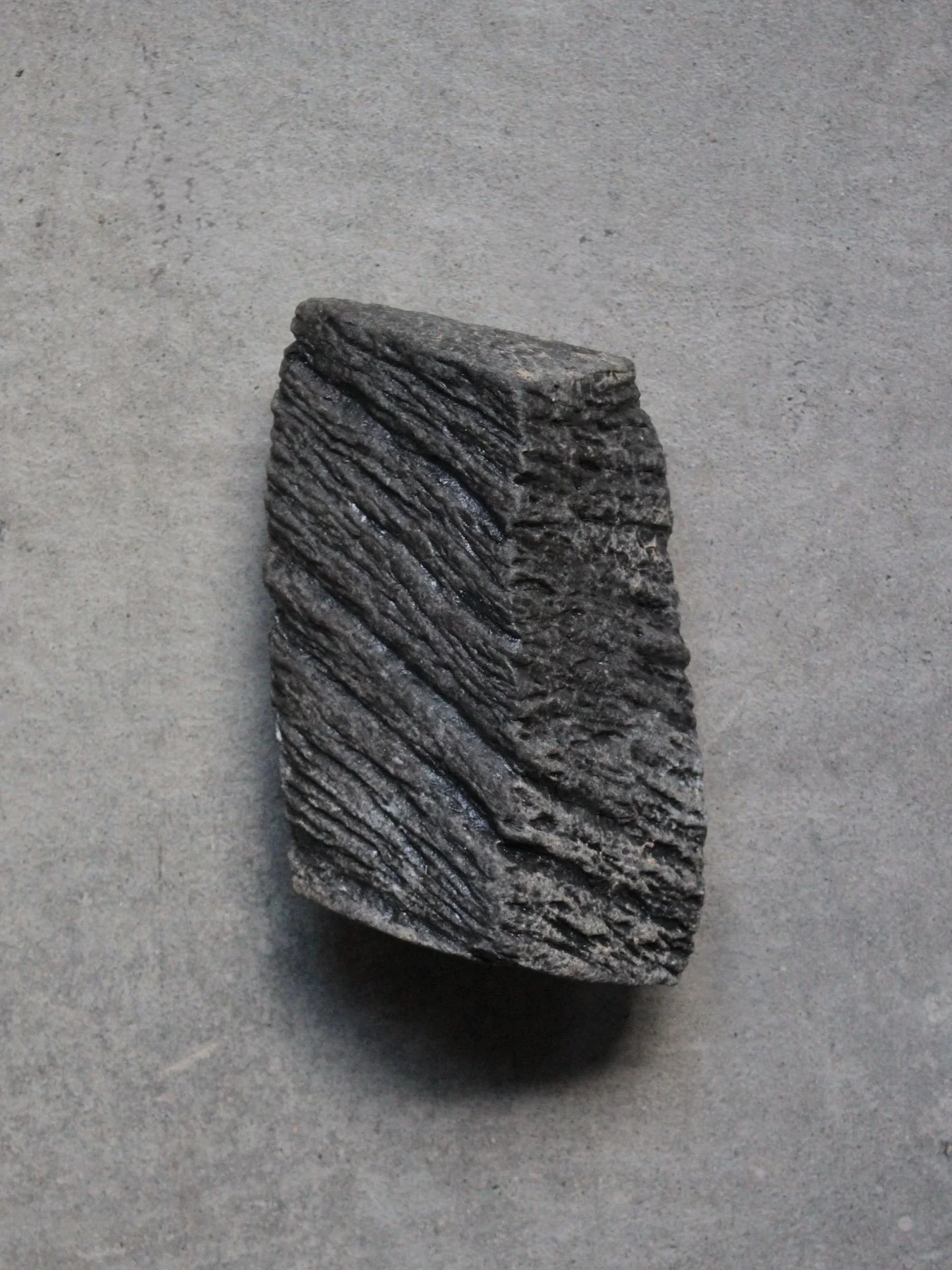 896a.JPG