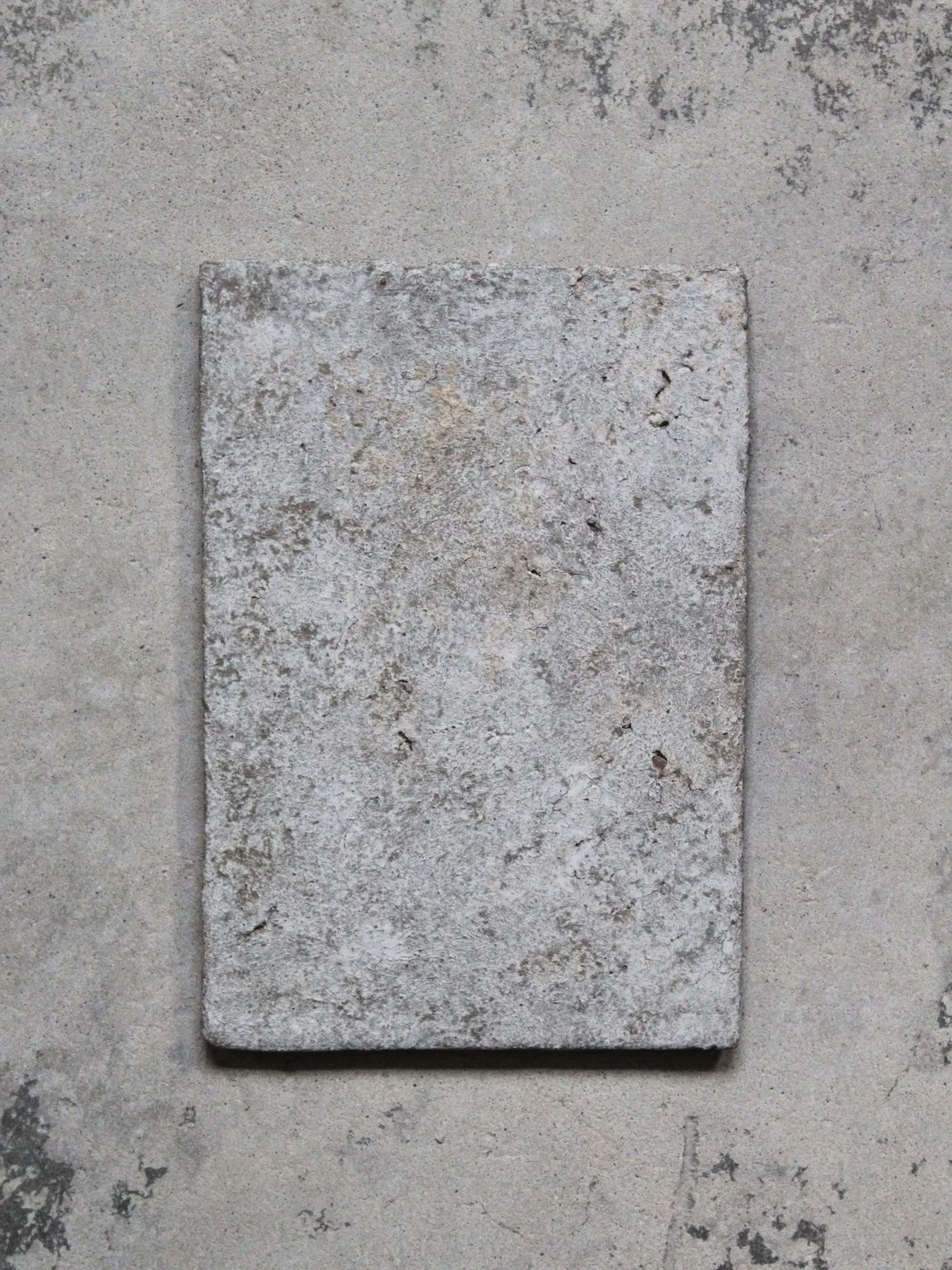 814a.JPG