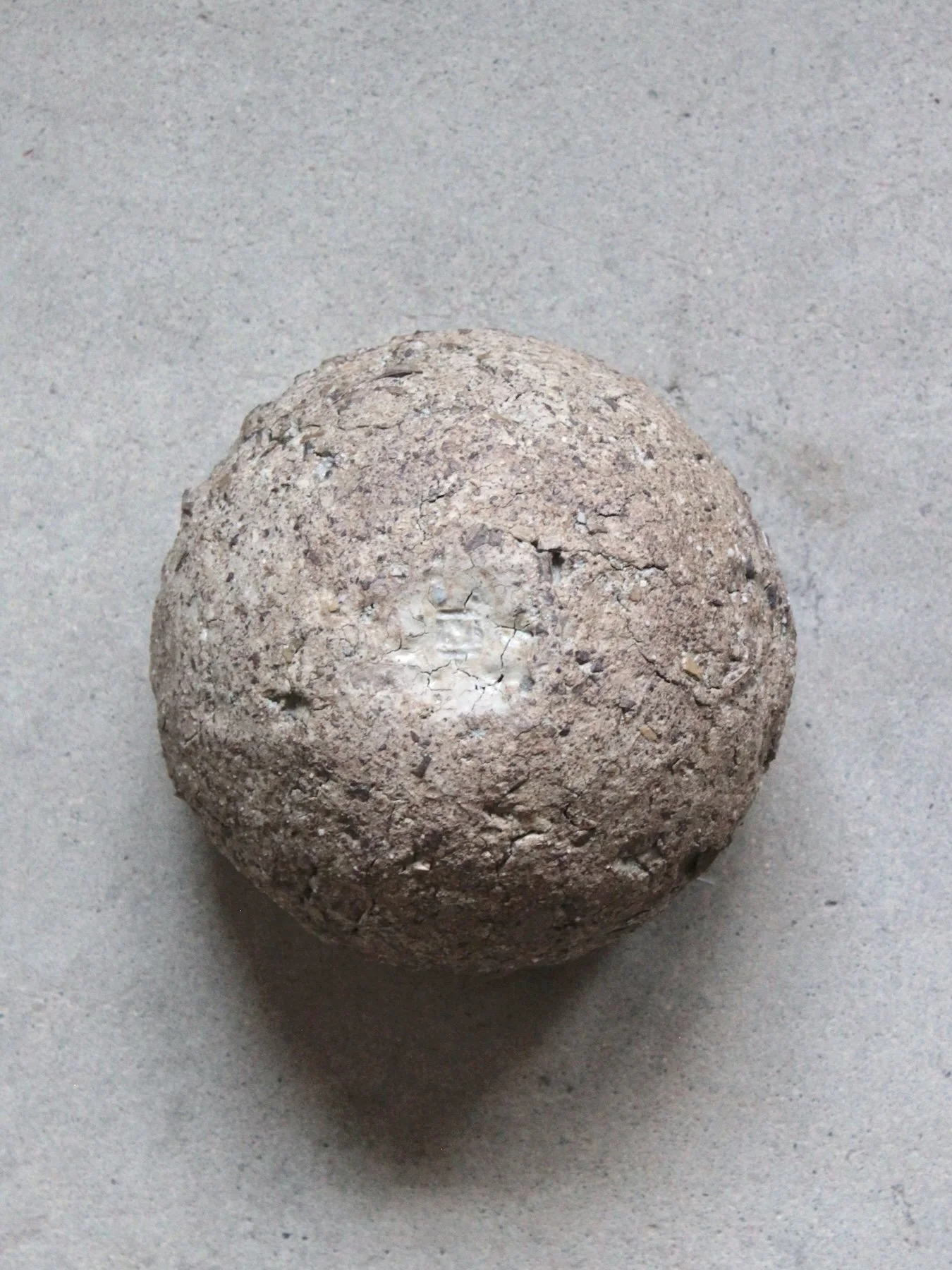 792e.JPG