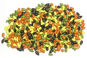 Multicoloured Choc Sunflower Seeds.jpeg