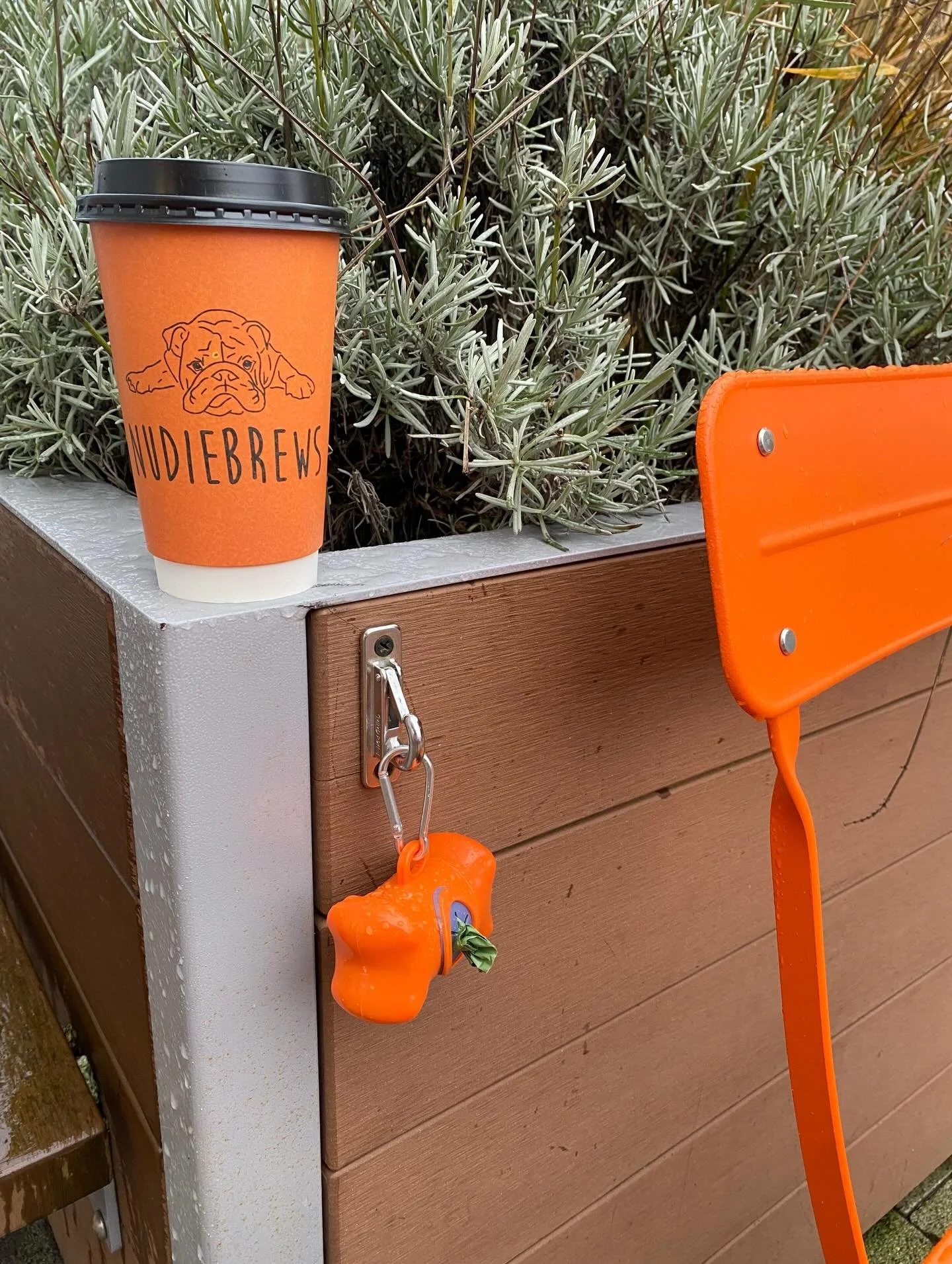 Don&rsquo;t get caught short , pick up a poo bag for your dog at the shop @clonsilla_tidy_towns 💩 🚮 🐾