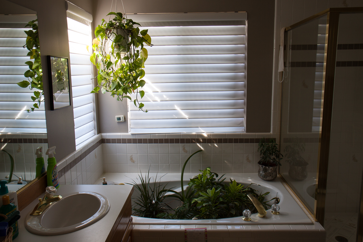 20100715_0071.jpg