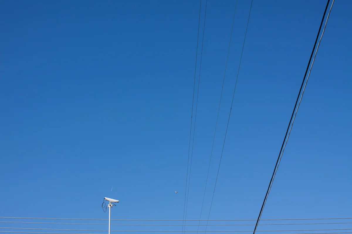 _MG_2136.jpg