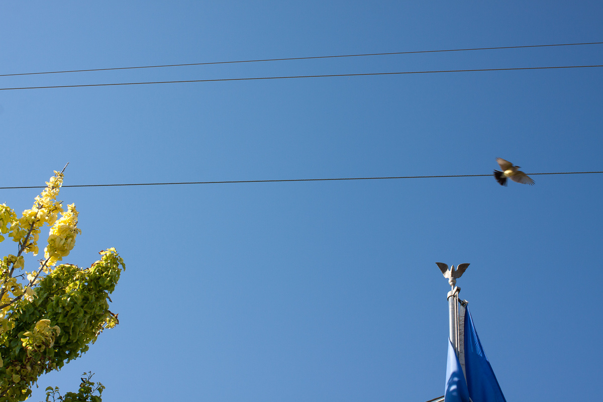 _MG_3854.jpg