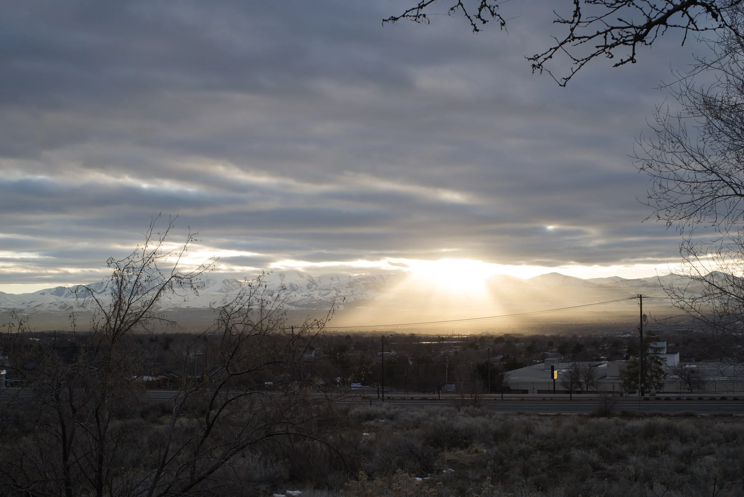 _IMG4380.jpg