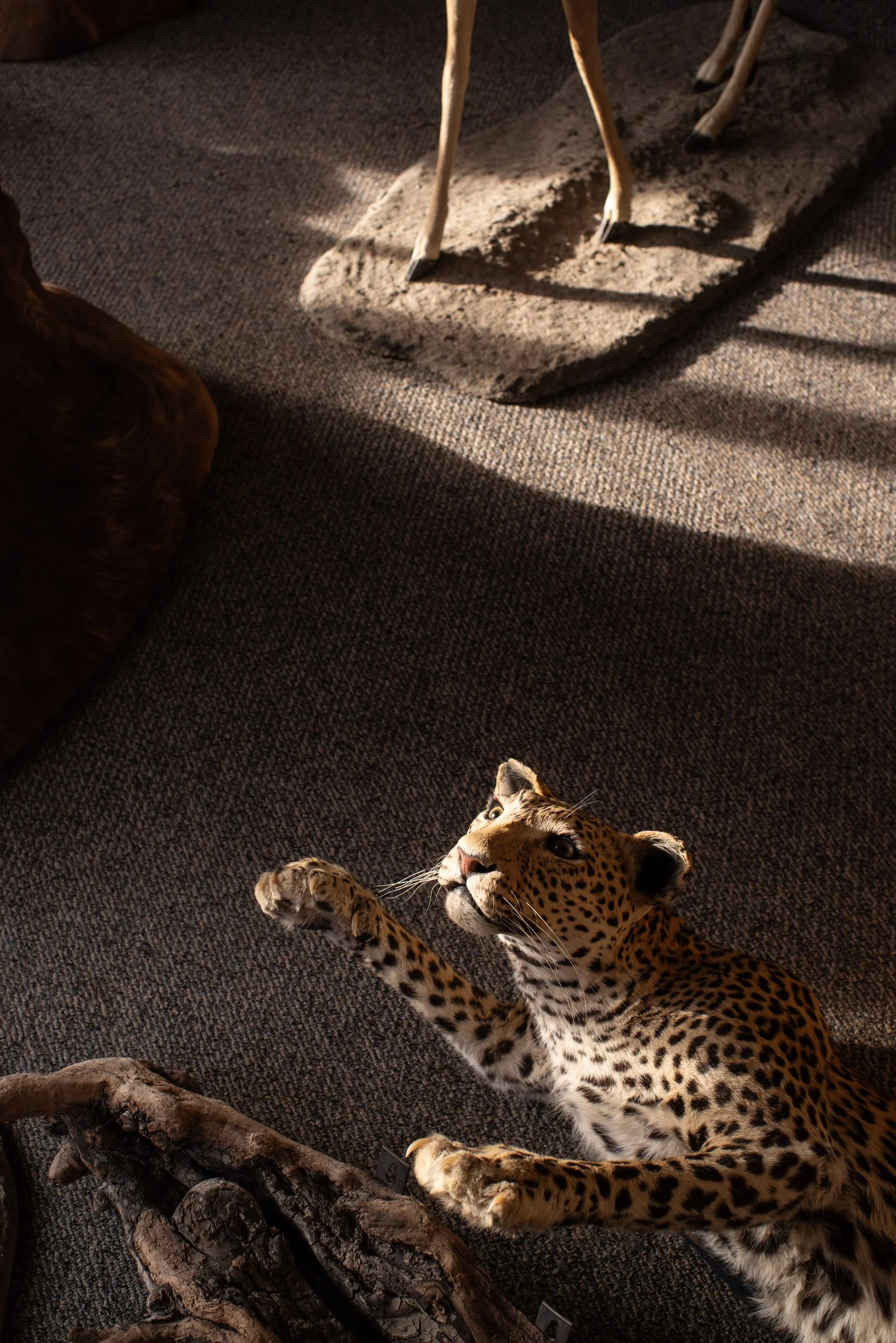 _IMG8195.jpg