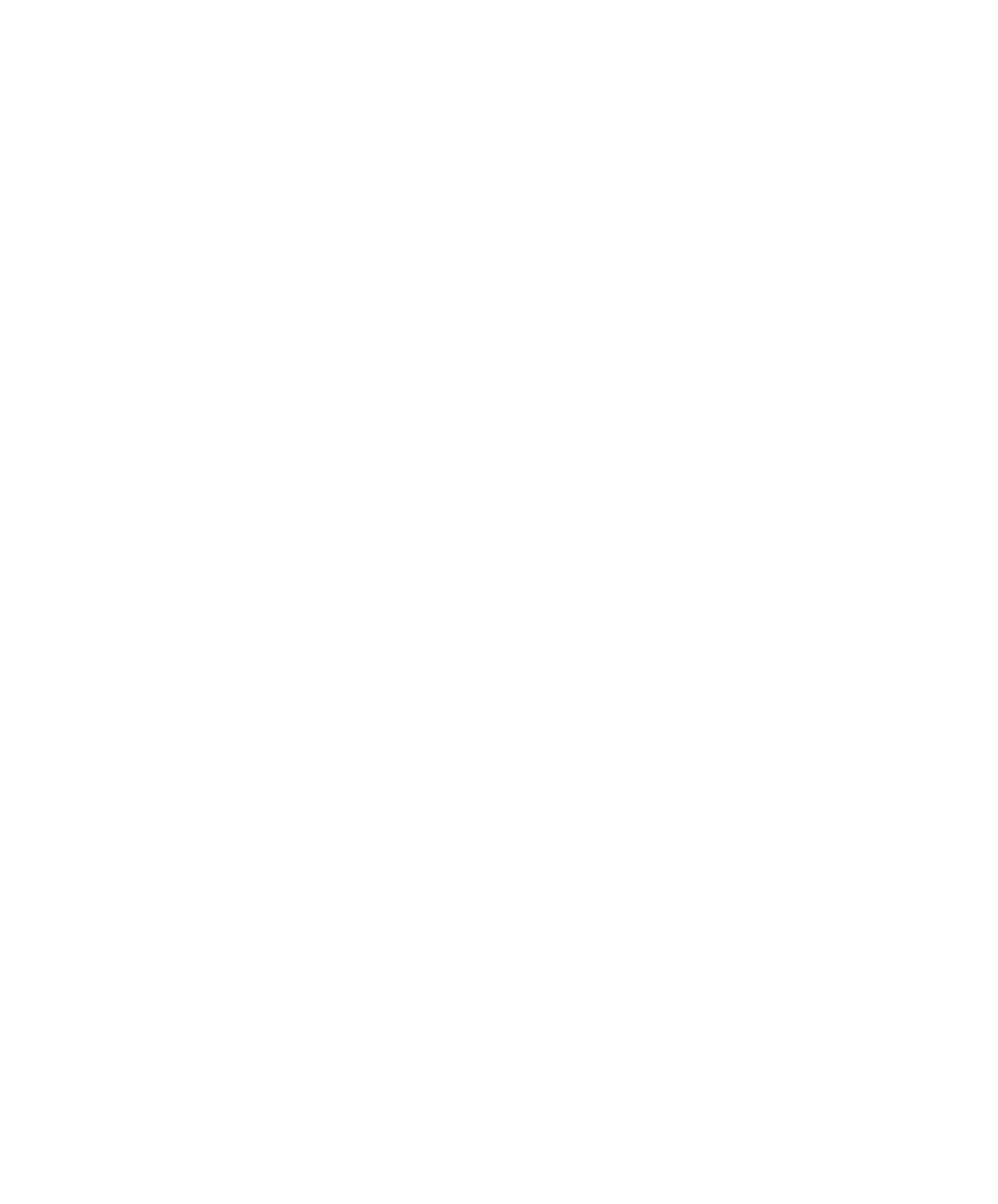 North of Brooklyn Pizzeria logo with crossed pizza paddles