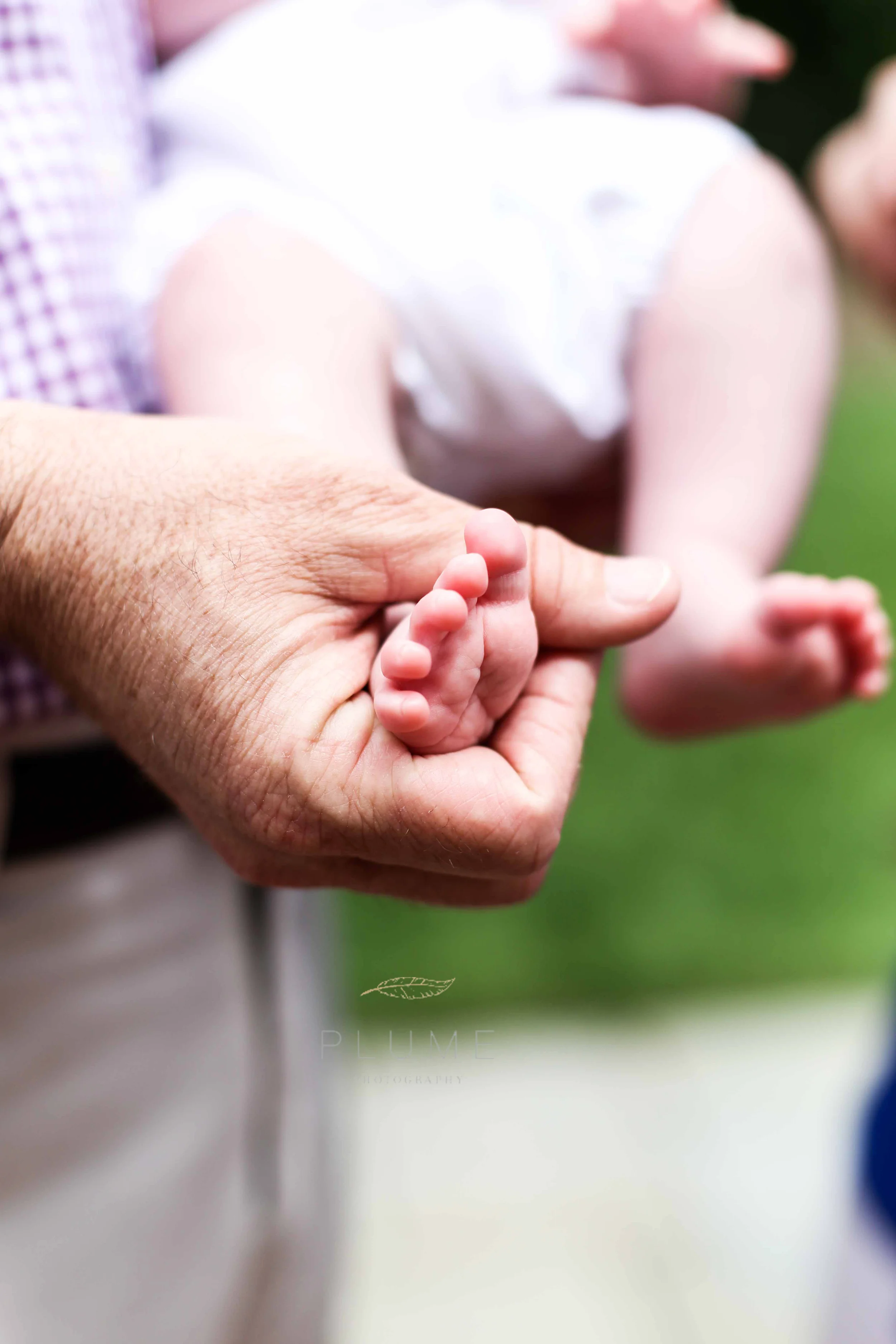 Newborn photo session with Paul Family (Raymond, Sara and James (11 weeks)) at their home in Alexandria, VA. Sunday, June 7, 2015. Photo by Amanda Reynolds/Plume Photography