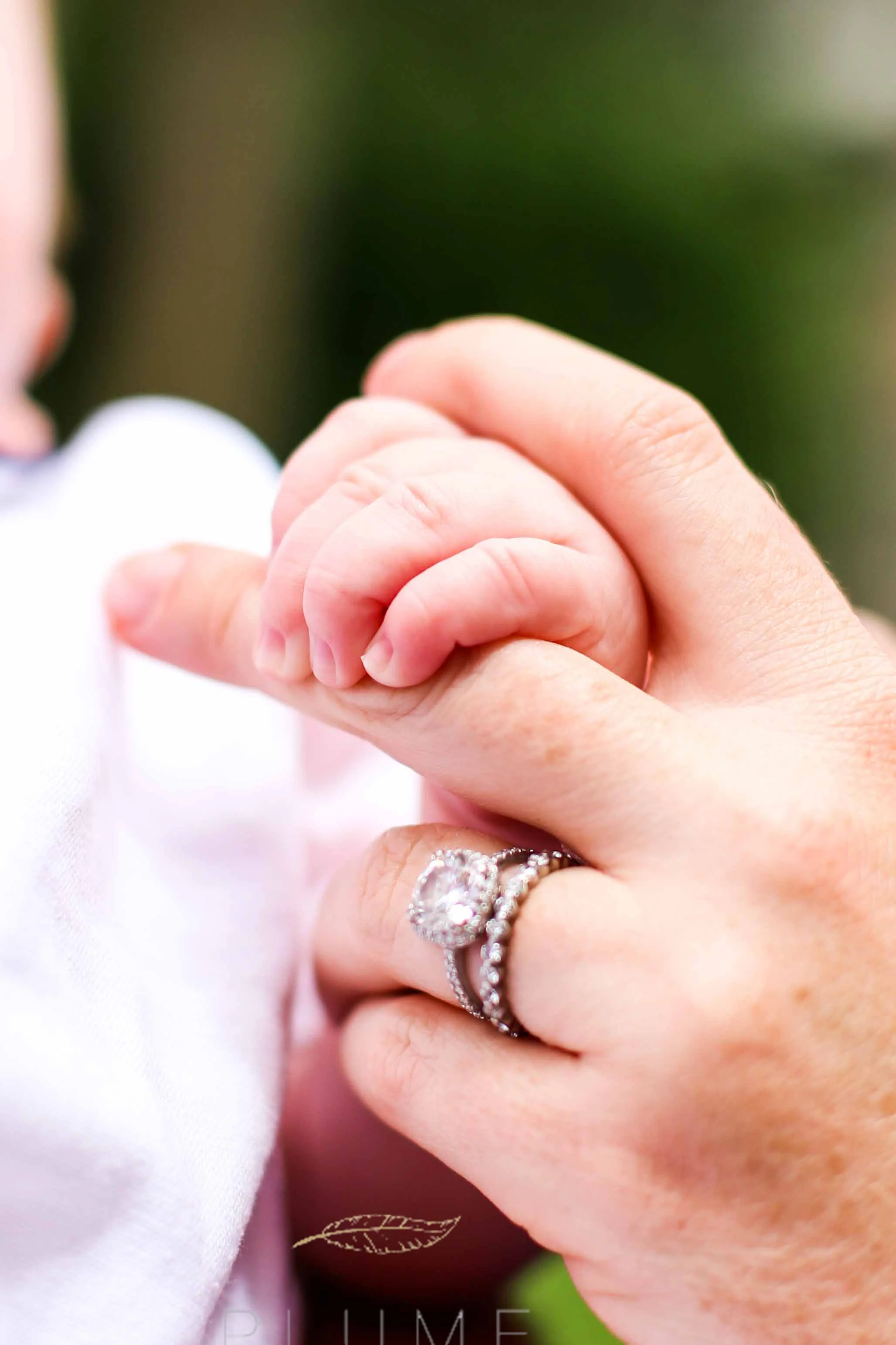 Newborn photo session with Paul Family (Raymond, Sara and James (11 weeks)) at their home in Alexandria, VA. Sunday, June 7, 2015. Photo by Amanda Reynolds/Plume Photography
