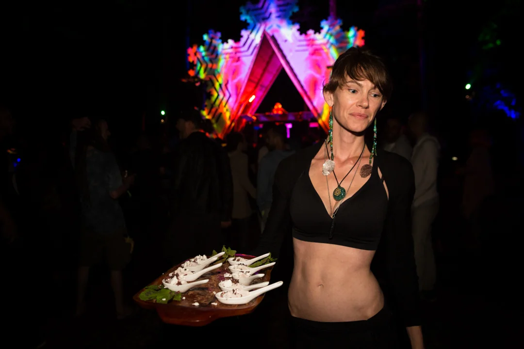 Diane Leigh Fractalfest2015_1701.jpg