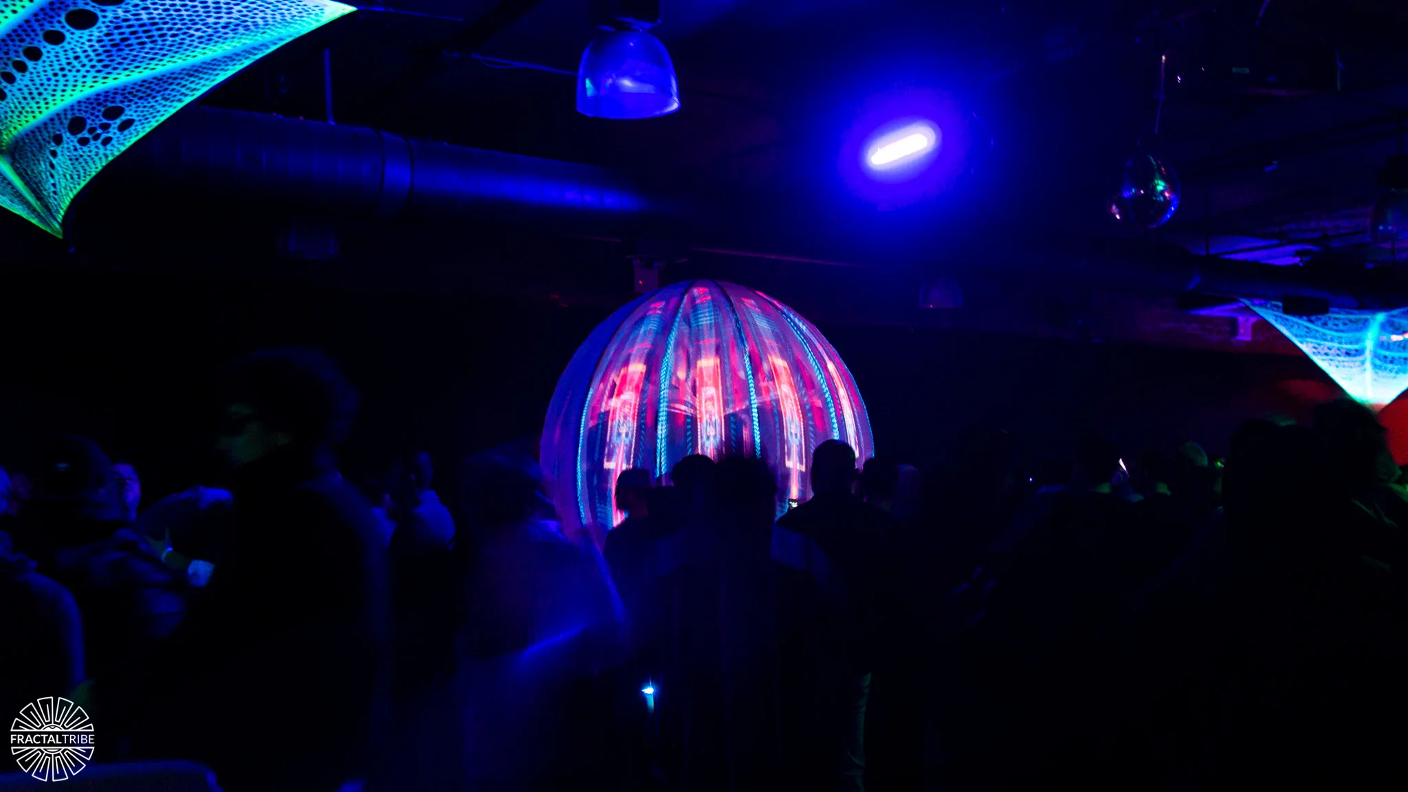 IO-Ten_0834-Jellyfish-WM_Web.jpg