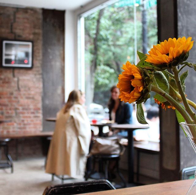 Spring 2019, NYC
.
.
.
.
.
#spring #nyc #coffee #coffeeshopvibes #friends #espresso #latte #cappuccino #sunflowers #chemex #catchingup #thirdrailcoffee