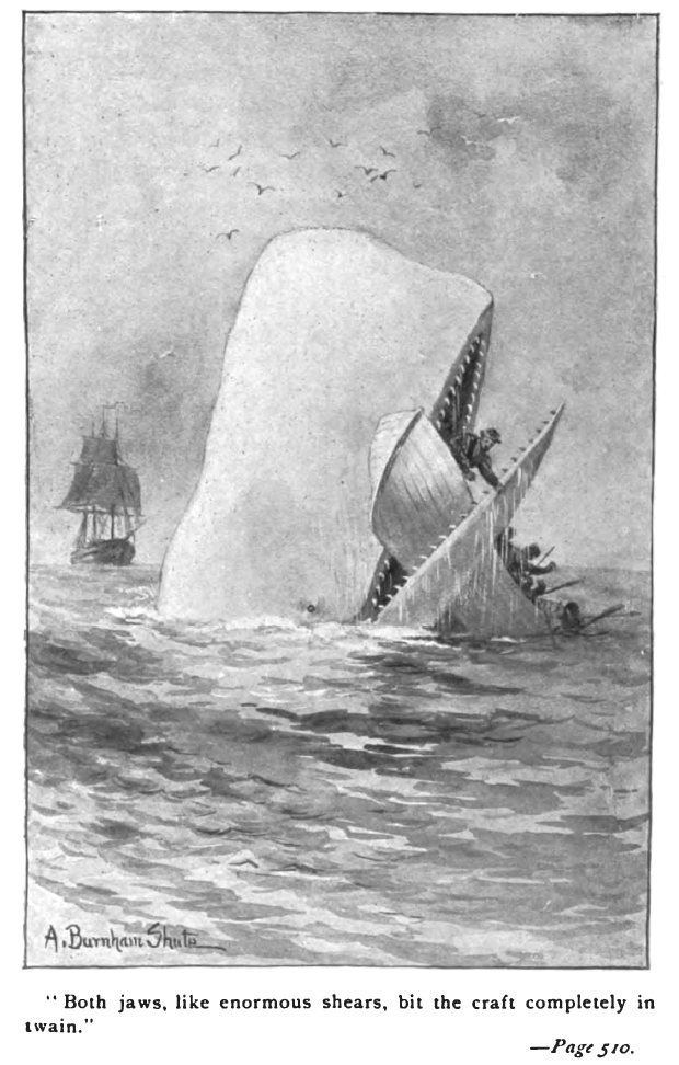 Illustration av A. Burnham Shute till 1892 års utgåva av Moby Dick.