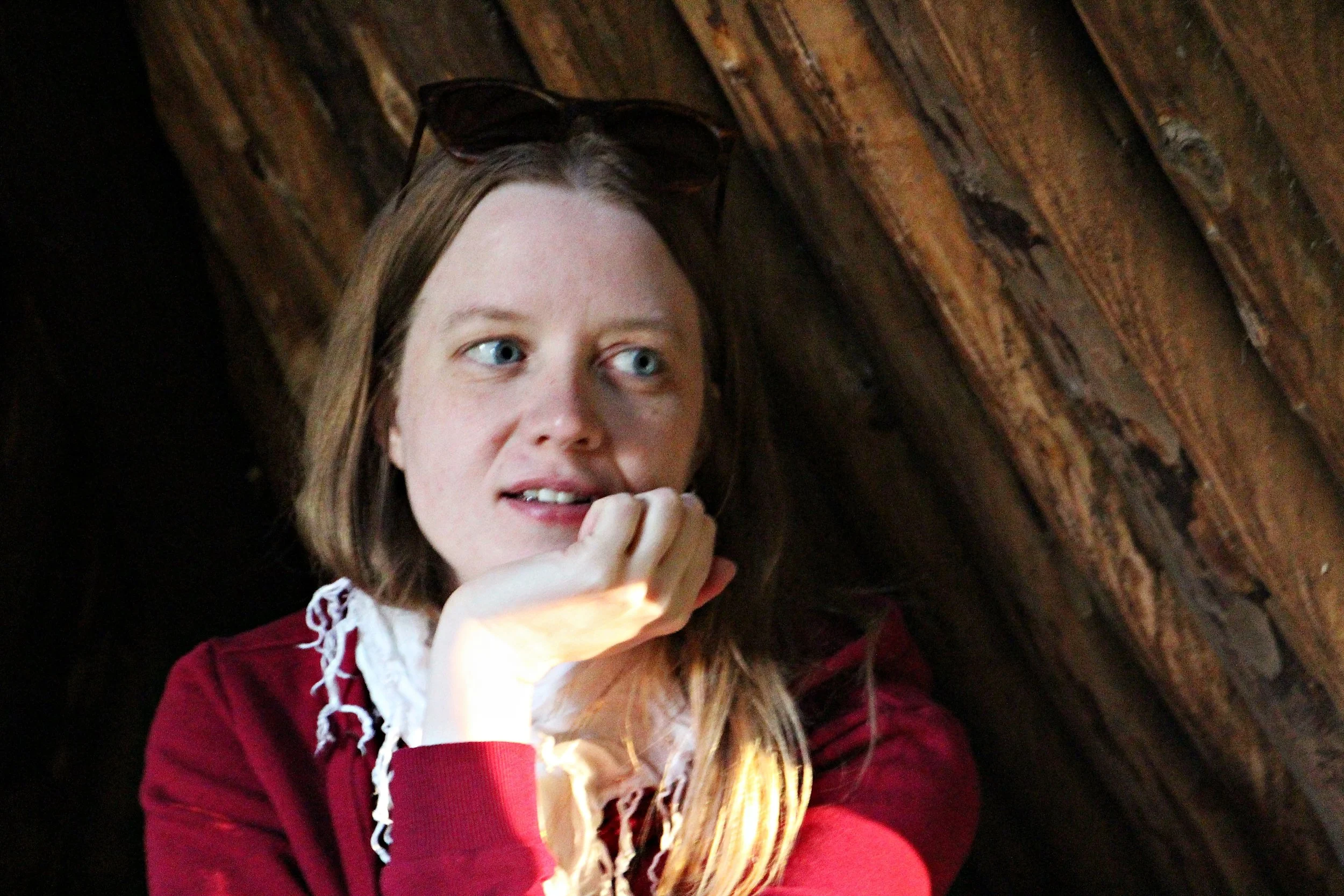 Helena Fagertun om översättningsåret 2025