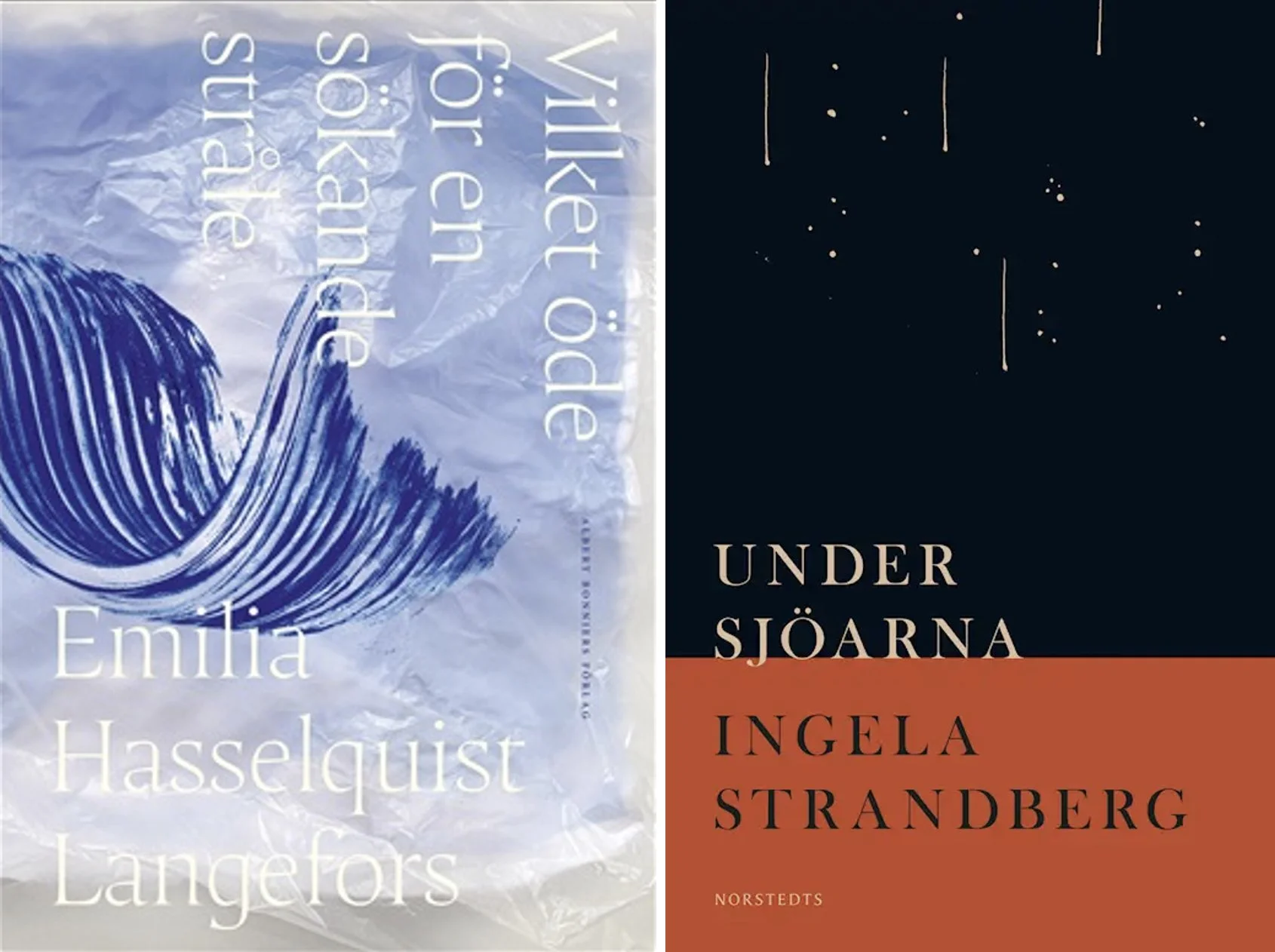 Kritik: Katja Palo om Ingela Strandberg och Emilia Hasselquist Langefors