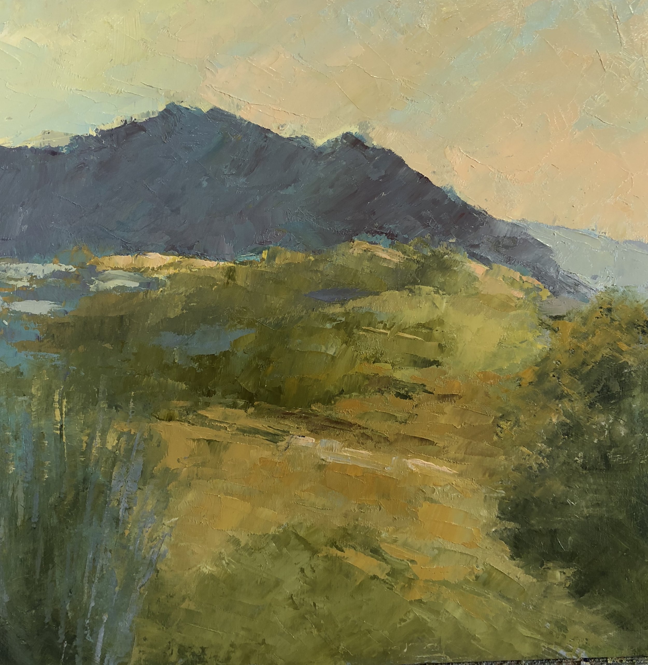 Desert's Edge