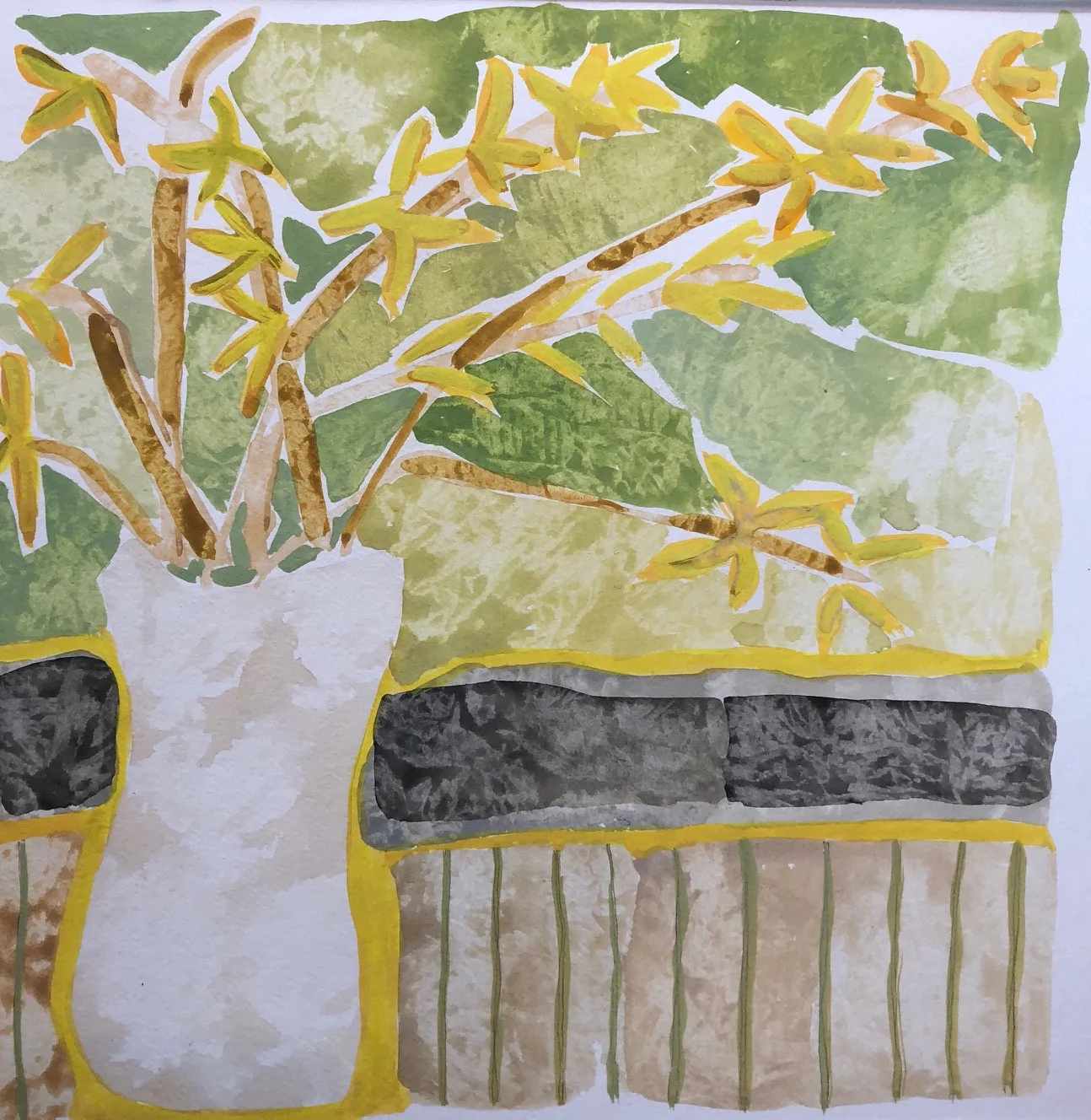 Inside Forsythia
