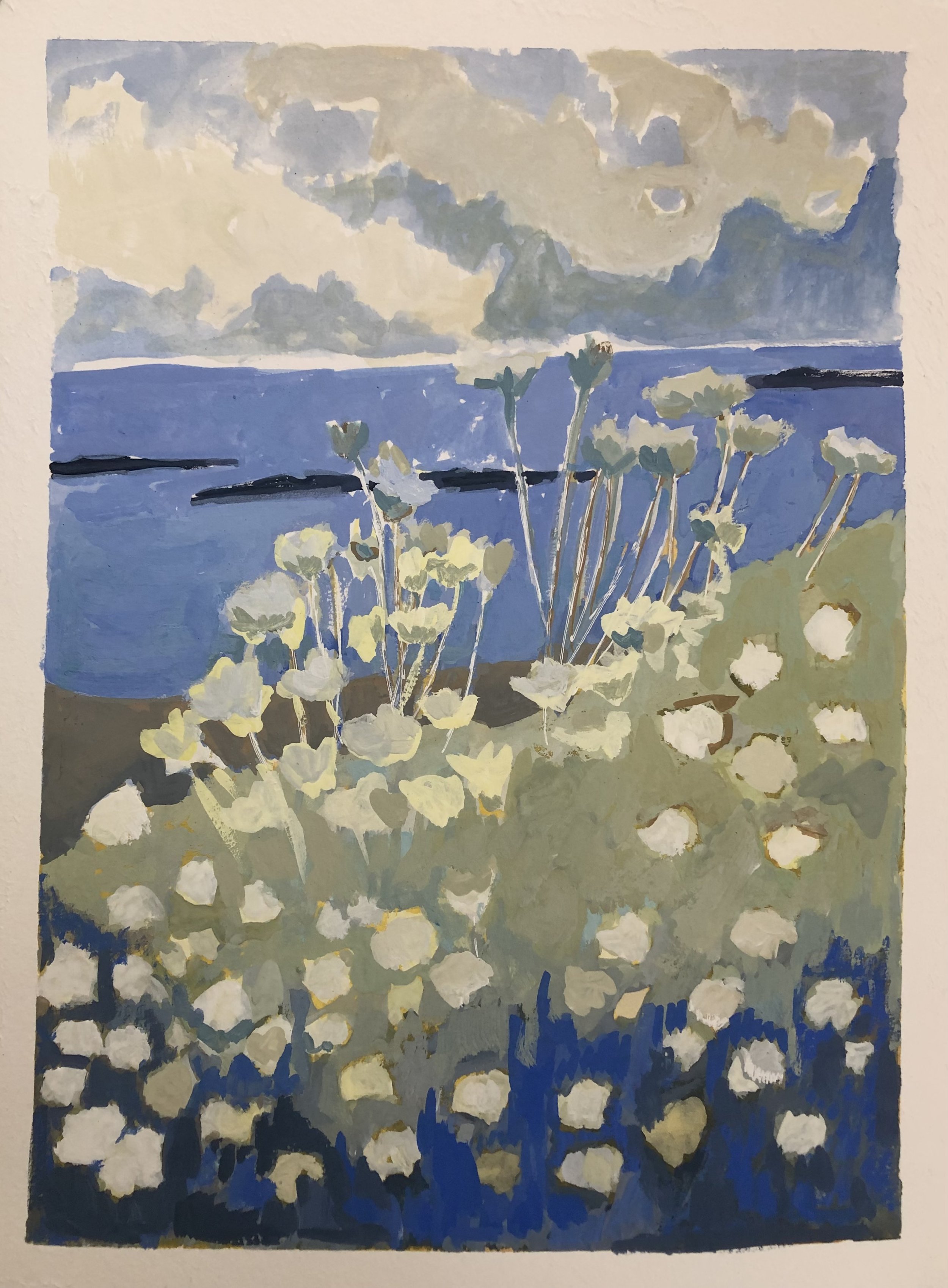 Queen Anne's Lace Meets the Sky