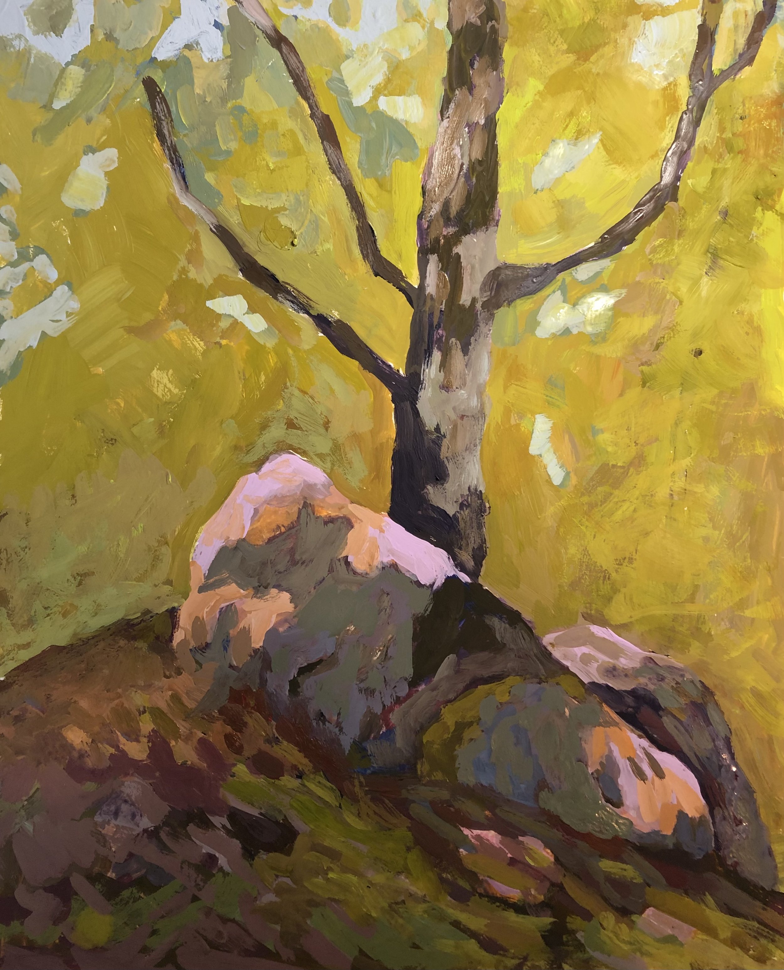Rocks in the Woods
