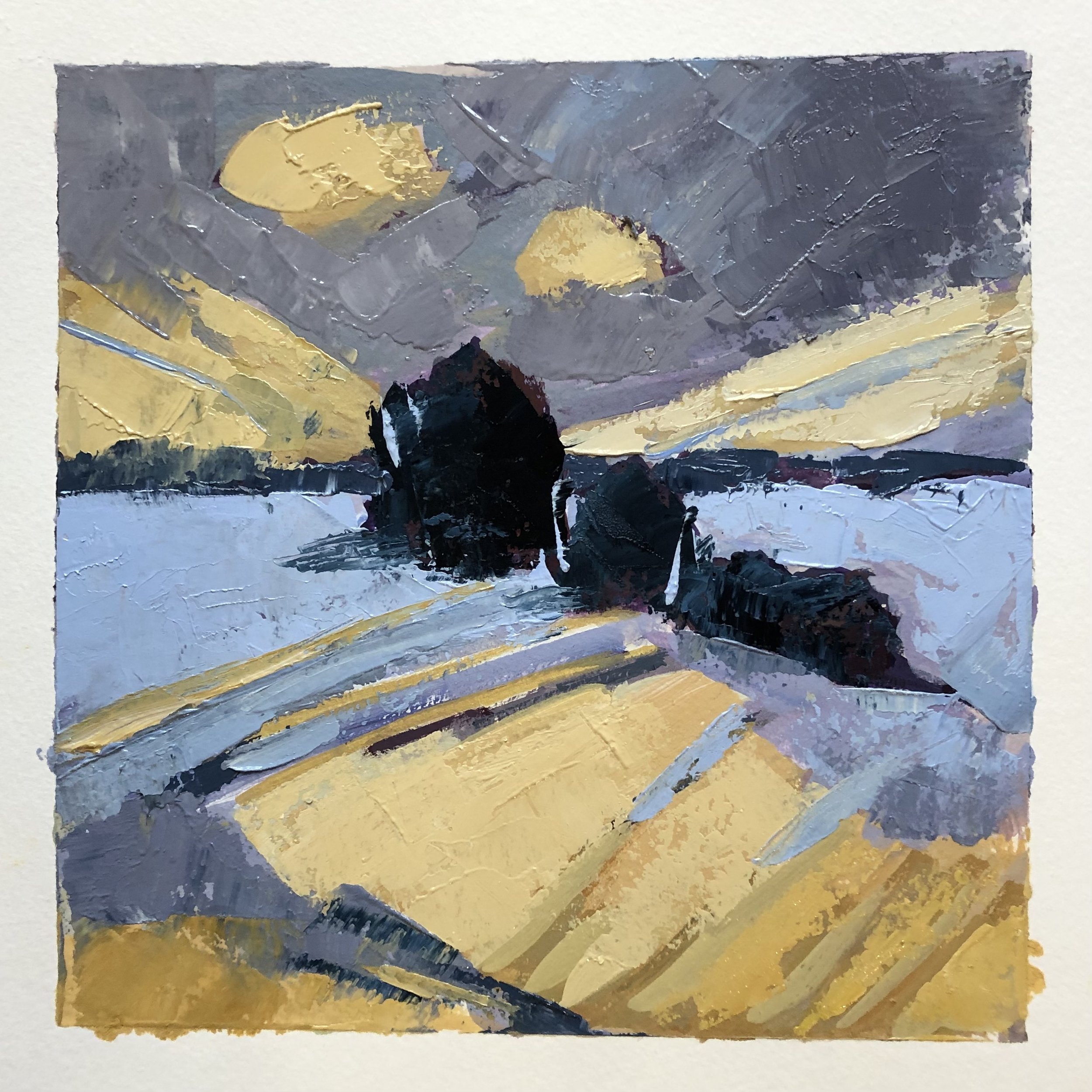 Winter Fields