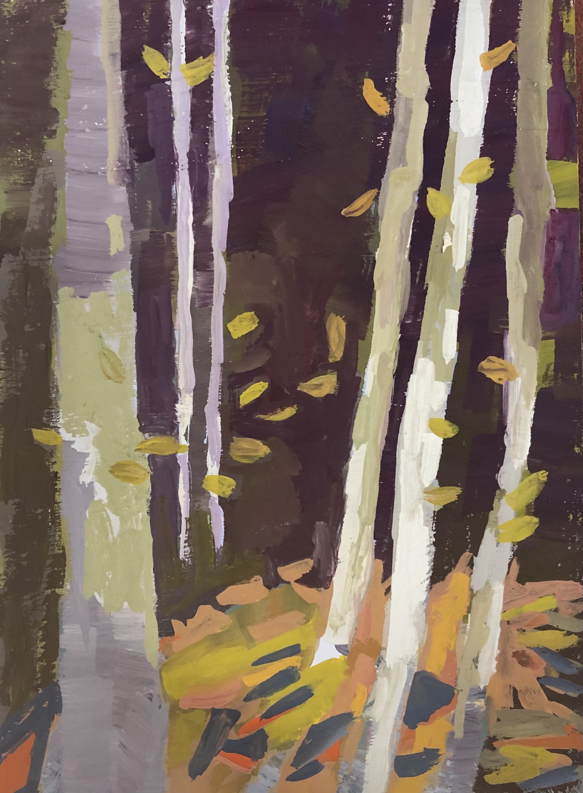 A Walk in the Woods