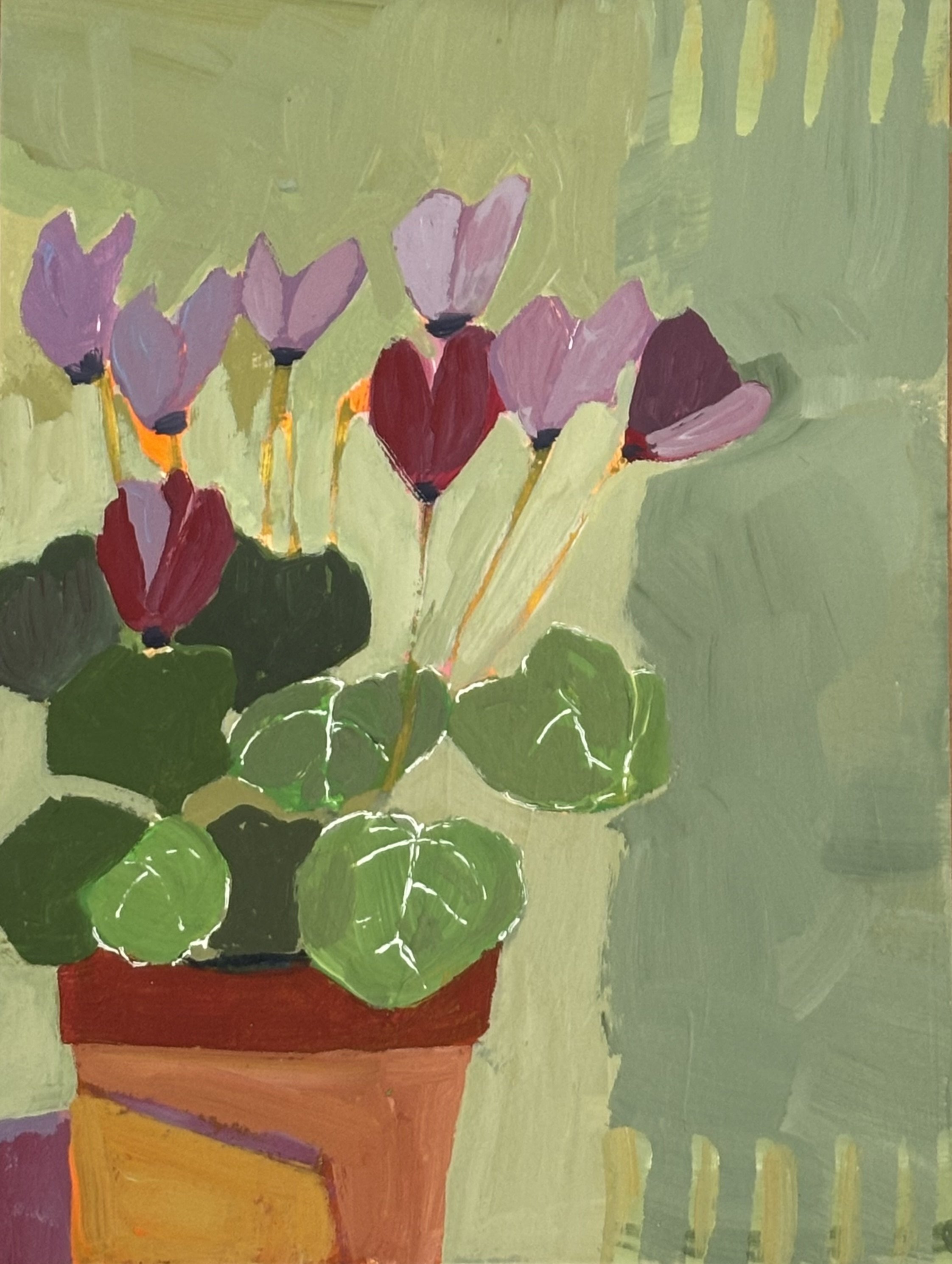 Cyclamen