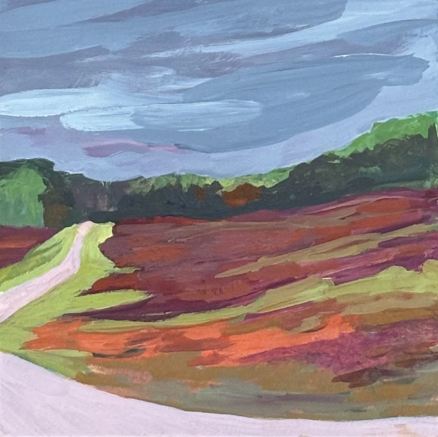 blueberry barrens.jpeg