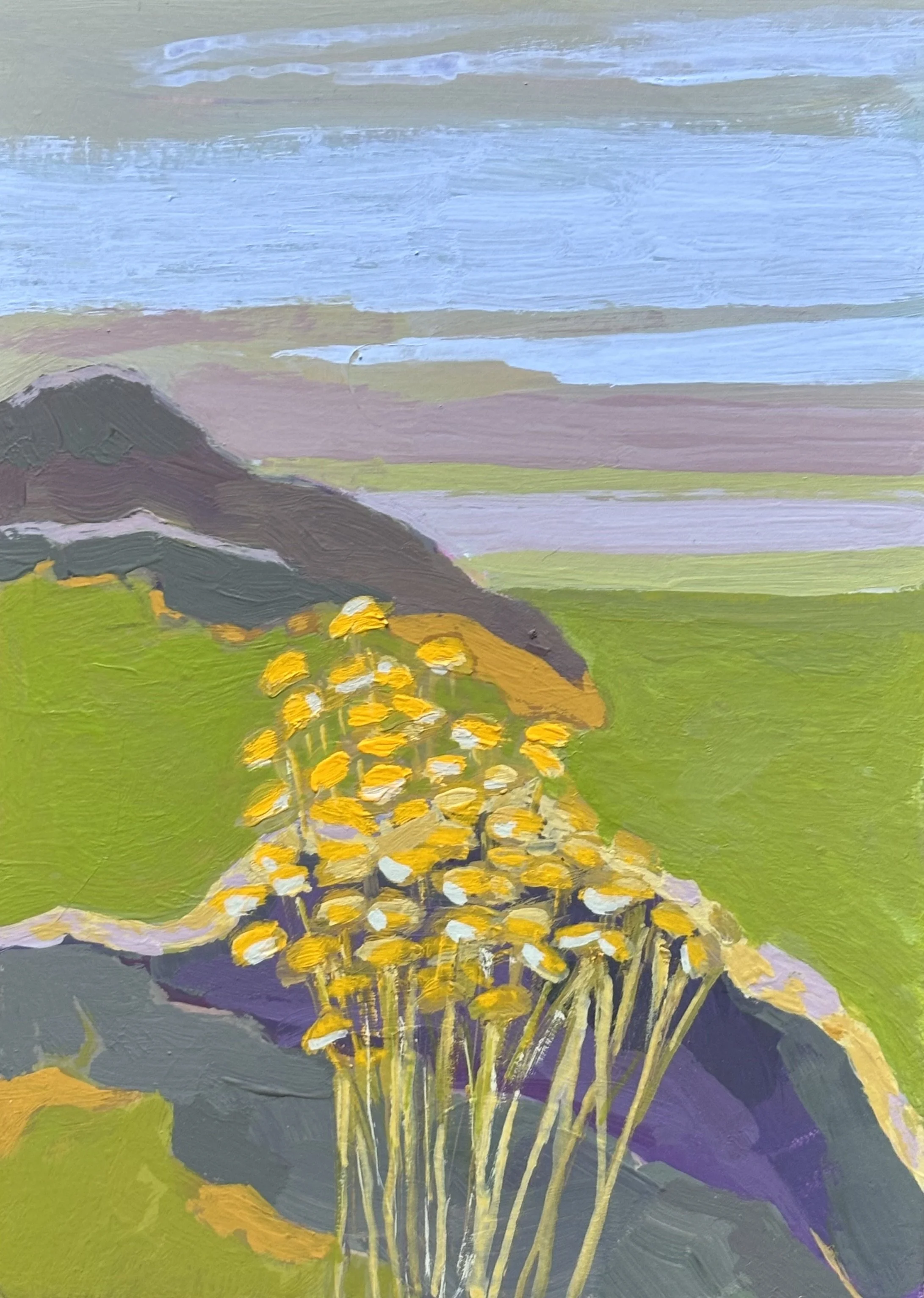 Rock Garden_Thaxter.jpg